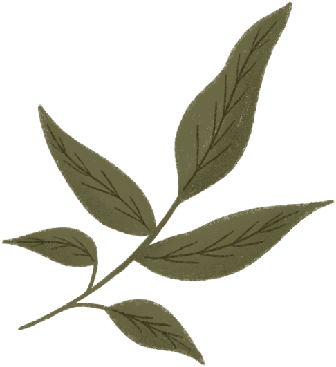 Leaf