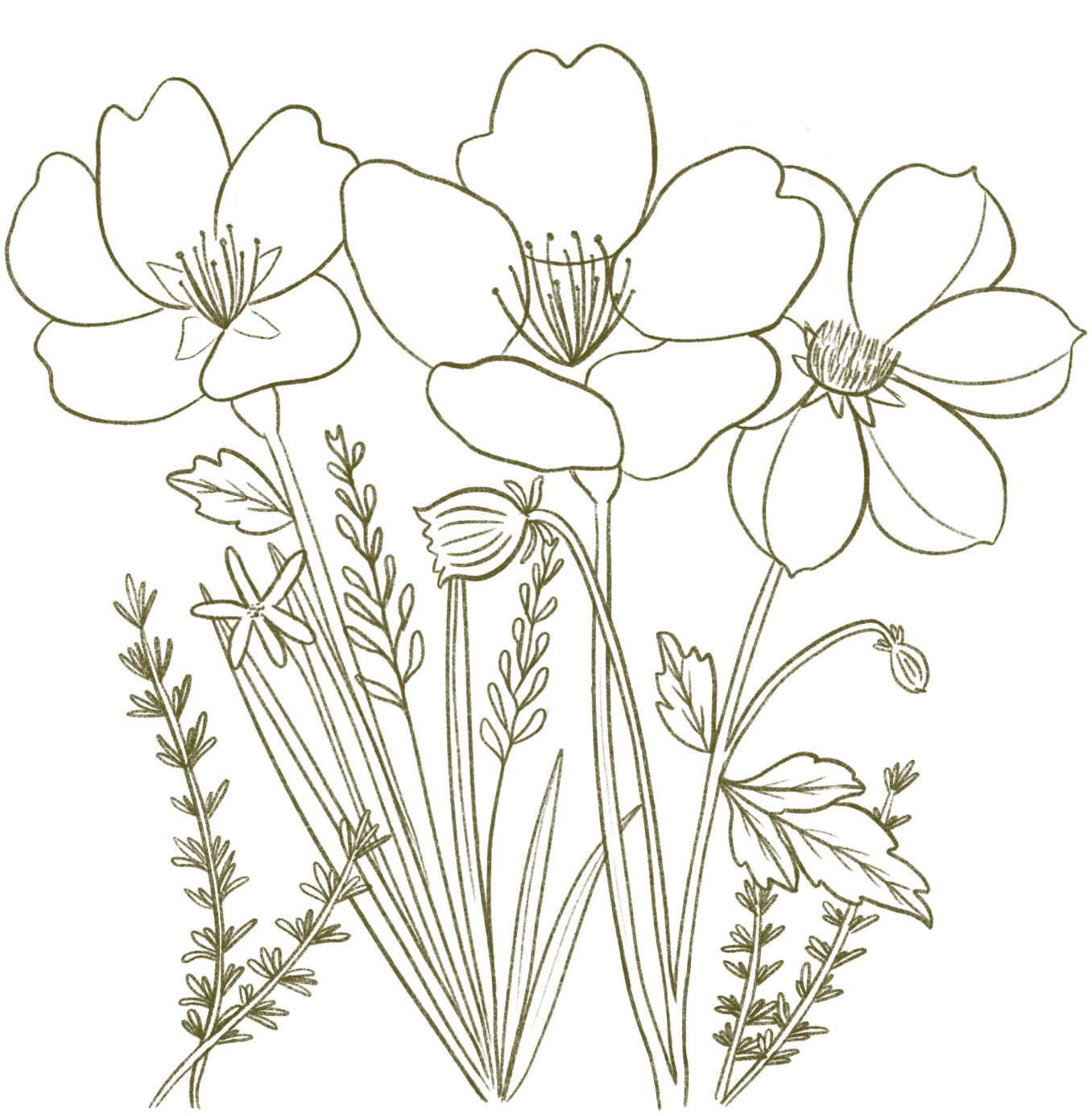 Wildflowers
