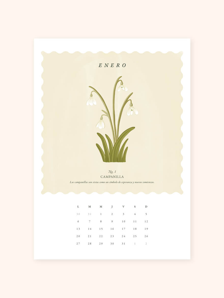 Birth Flowers illustrated calendar