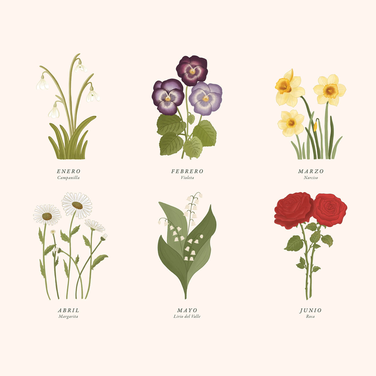 Birth Flowers illustrated calendar
