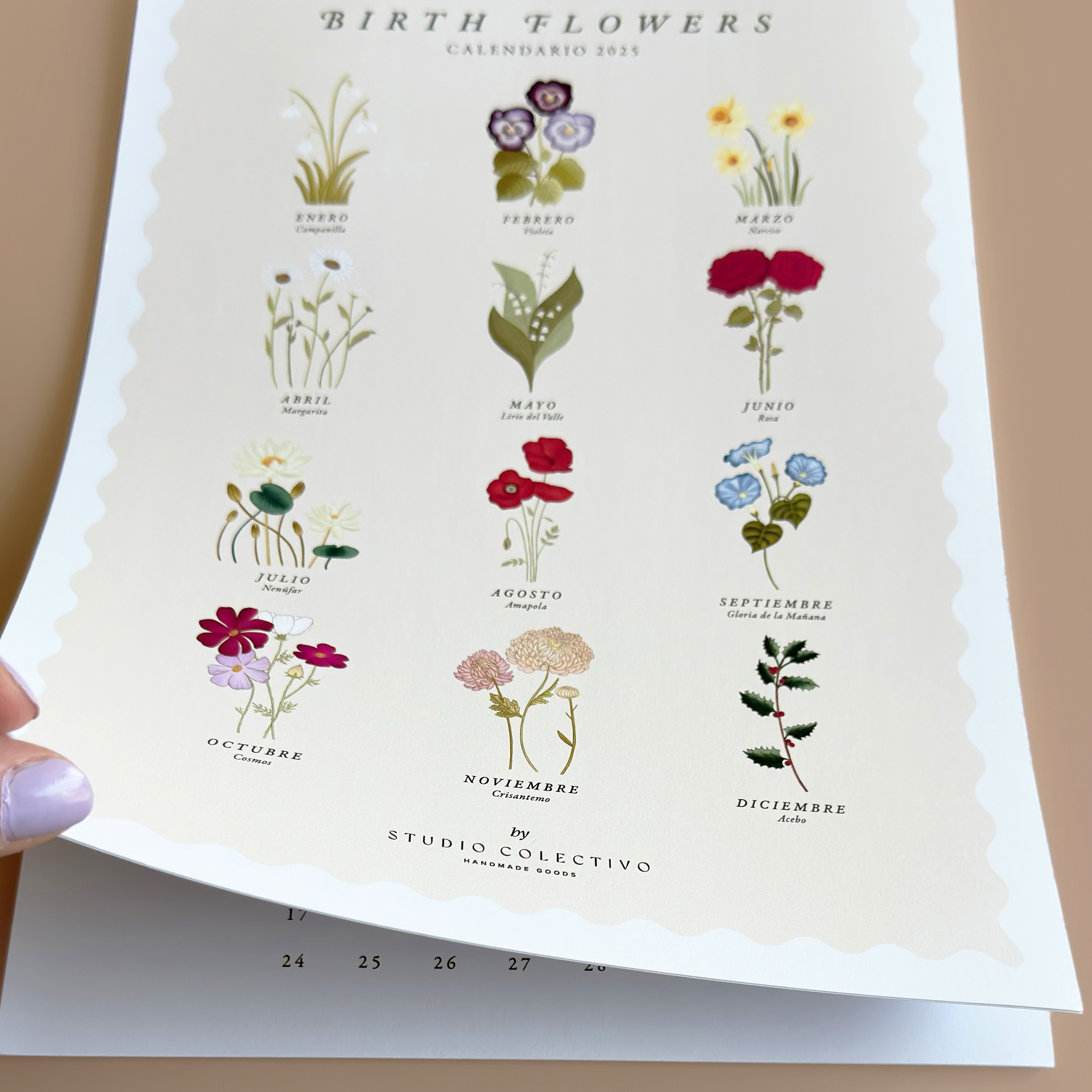 Birth Flowers illustrated calendar