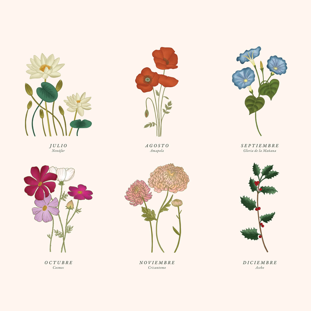 Birth Flowers illustrated calendar