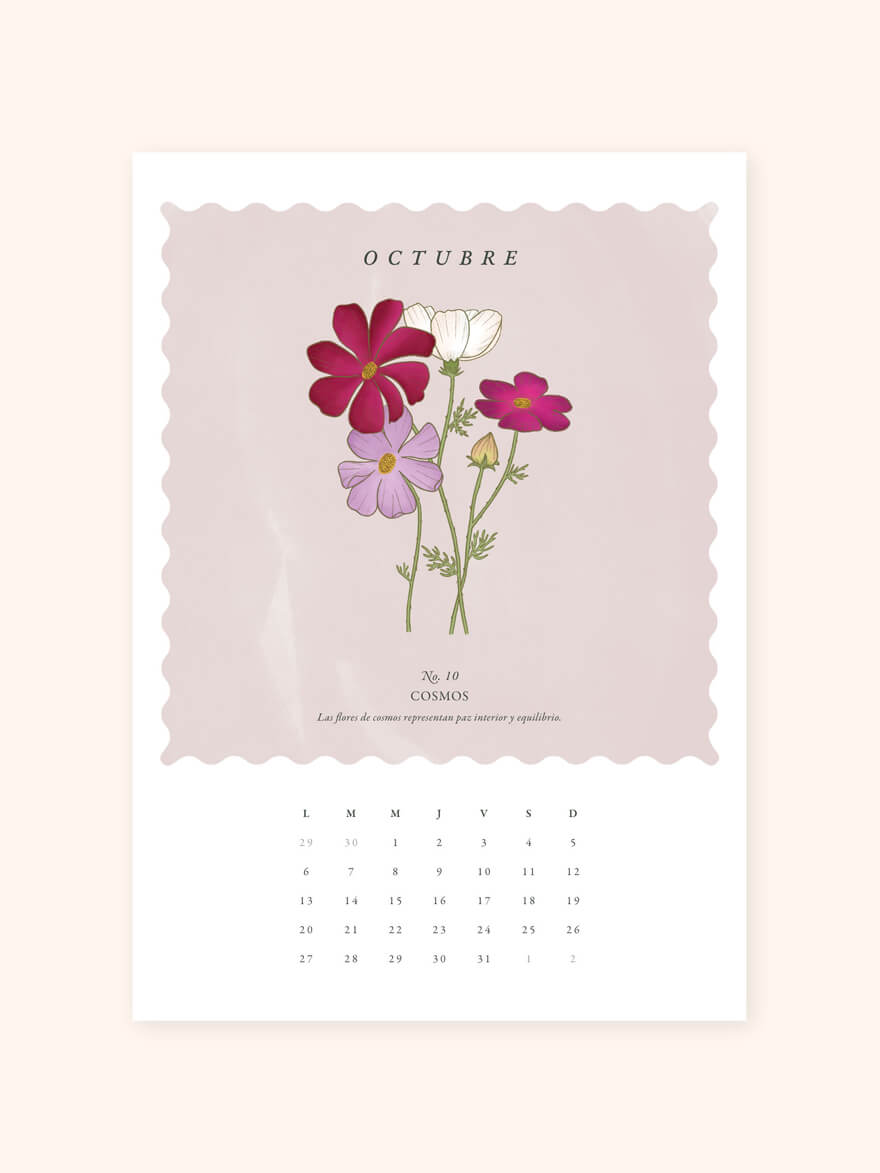 Birth Flowers illustrated calendar
