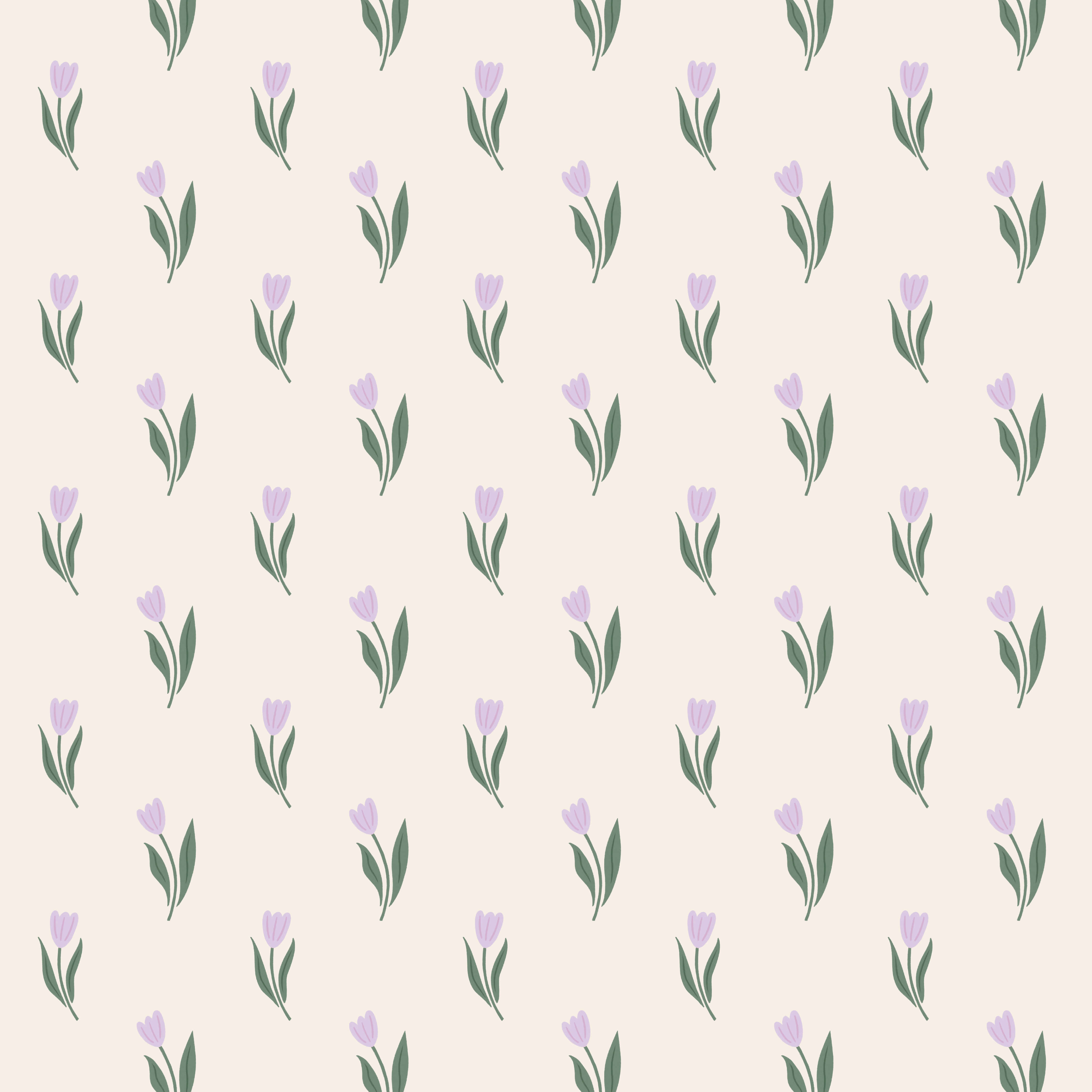 Tulip Fields illustrated collection