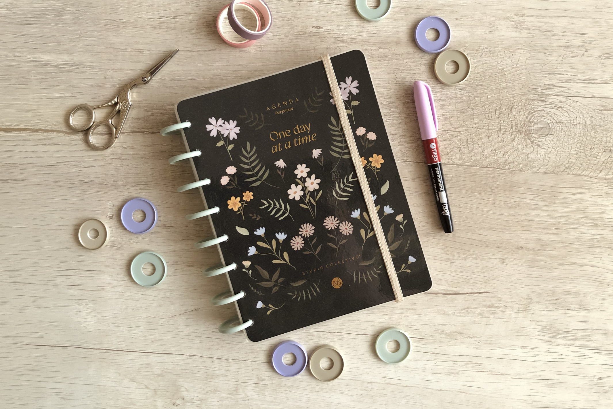 Wildflowers illustrated collection