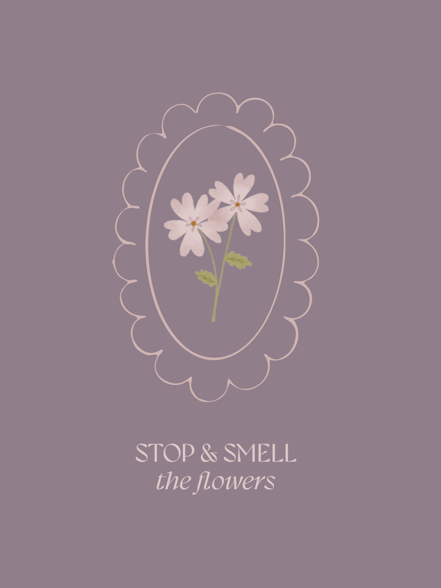 Wildflowers illustrated collection