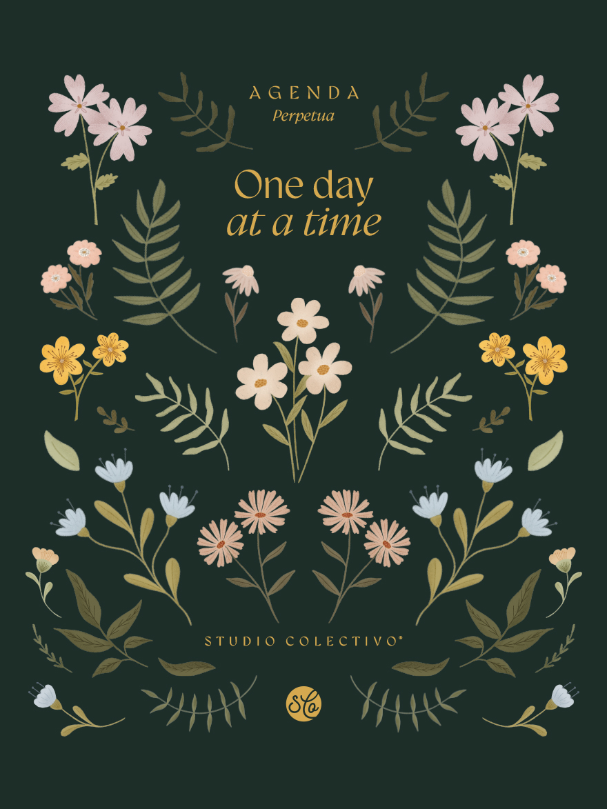 Wildflowers illustrated collection