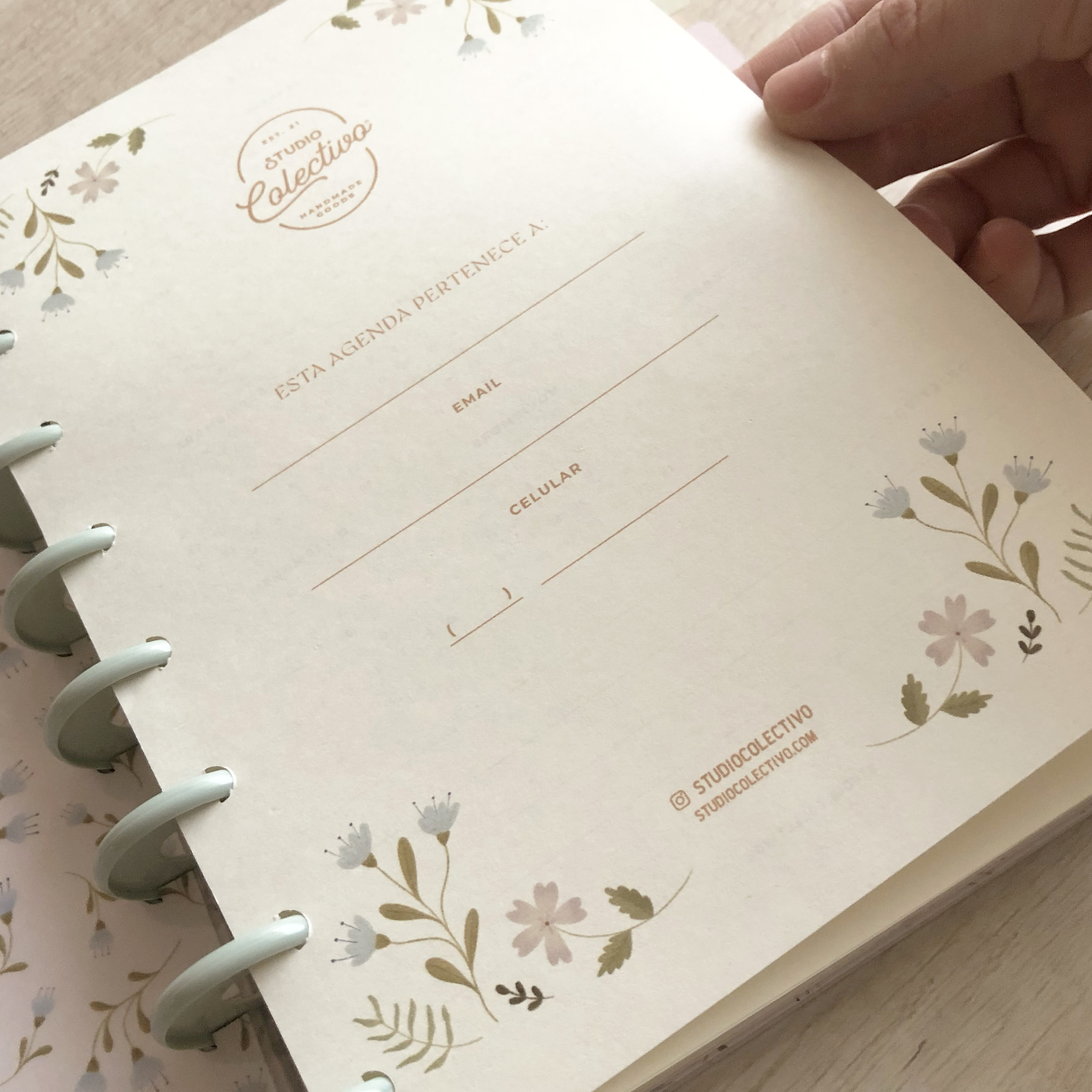 Wildflowers illustrated collection