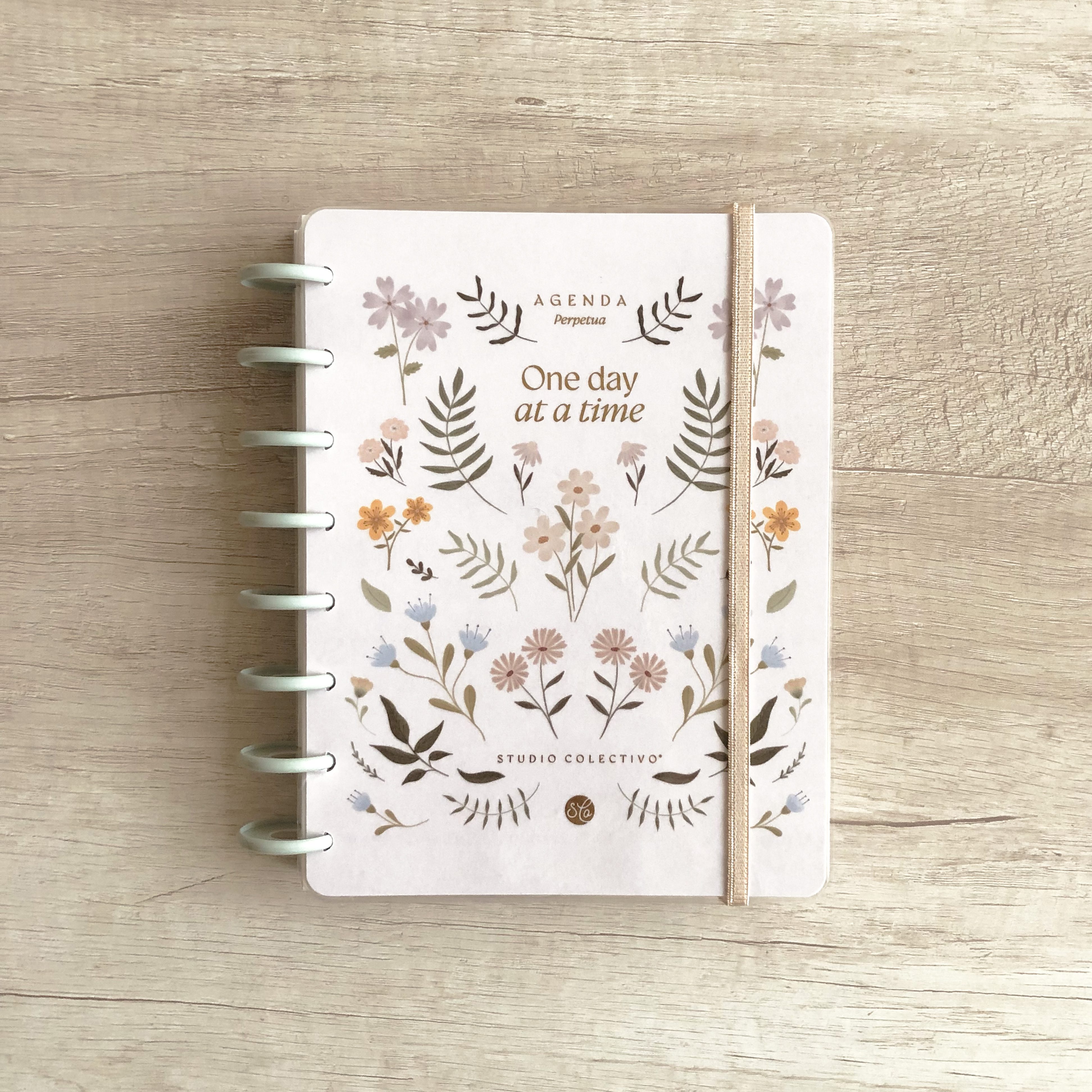 Wildflowers illustrated collection