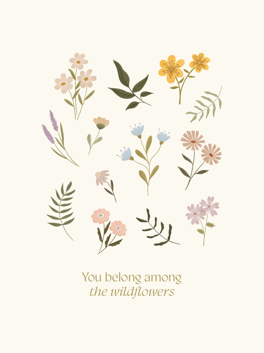 Wildflowers illustrated collection